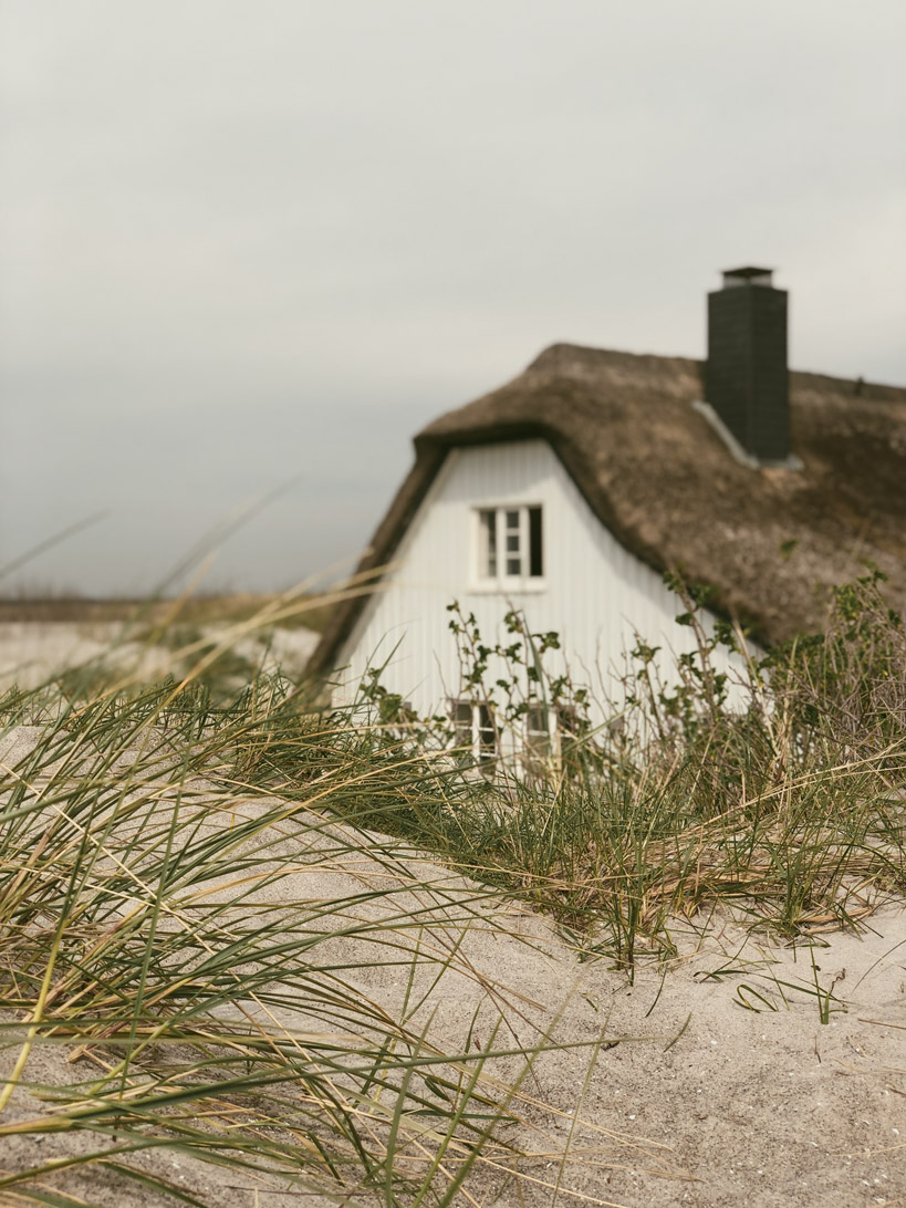 Ahrenshoop Ostsee schwanger